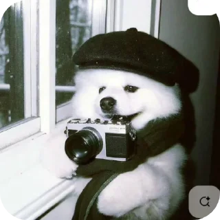 📷