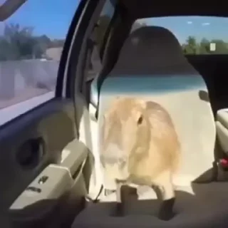 🚘