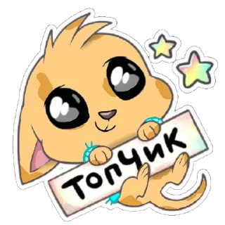 ✨