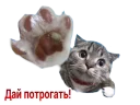 😻