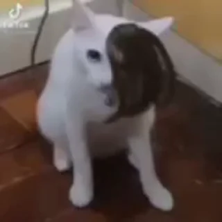😖