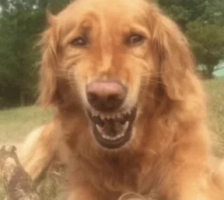 😀