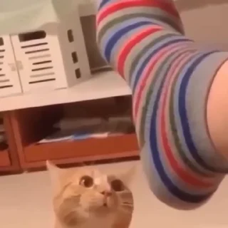 😡