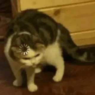 ❓