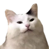 Mister Milkis