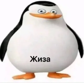 🤧