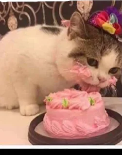 🎂
