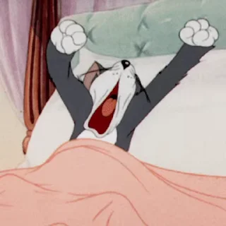 😴
