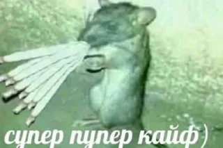 🥴