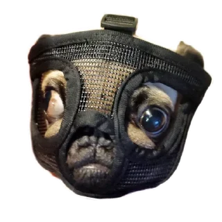 Каська