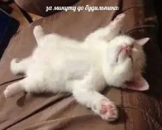 😔