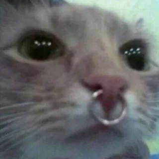 😕