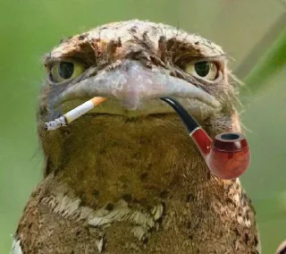 🪃
