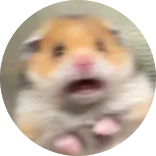 😱