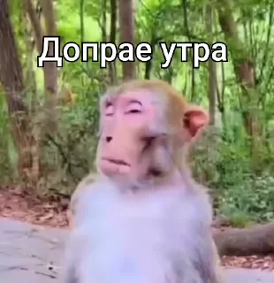 👋