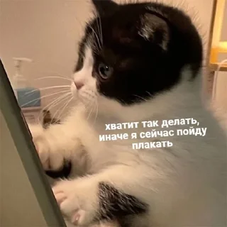 😢