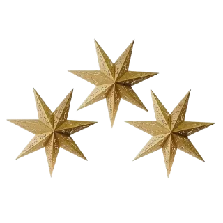 🌟