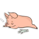 😴