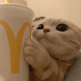 🥨