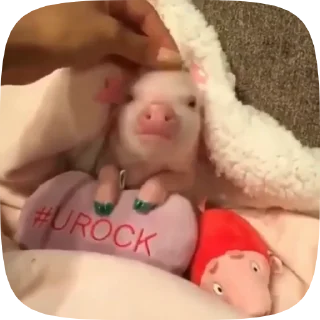 ☺️