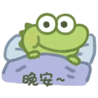🛌