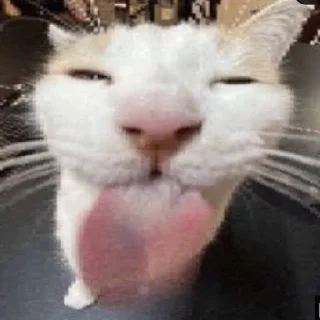 😝