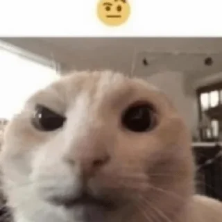 🤨