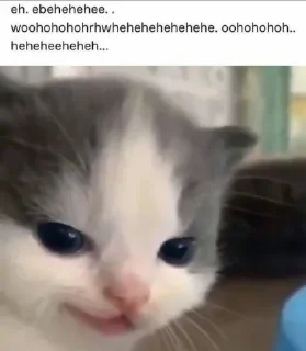 ☺️