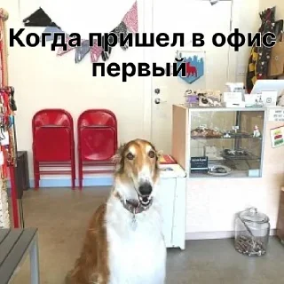 🏢