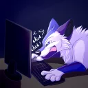 💻