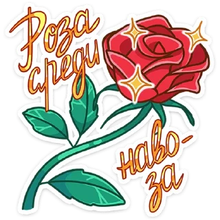 🌹