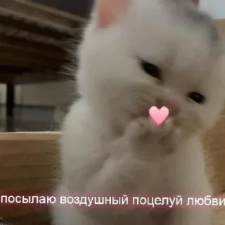 ❤️