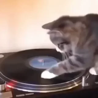 🪩
