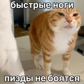 🙃