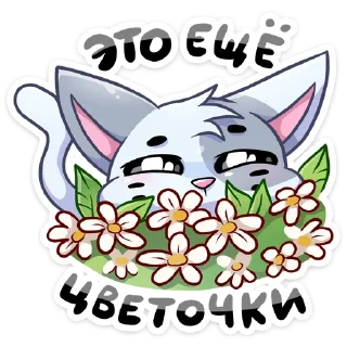 🌸