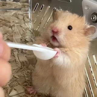 😦