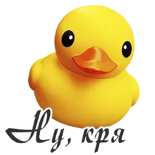 🐤