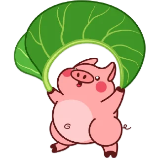 🍃