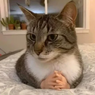 😕