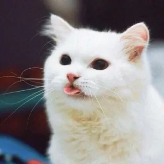 😝