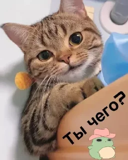 🧐