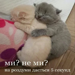 👩‍❤️‍💋‍👩