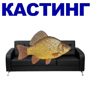 🐠