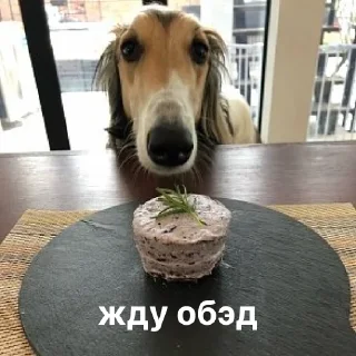 ⏳