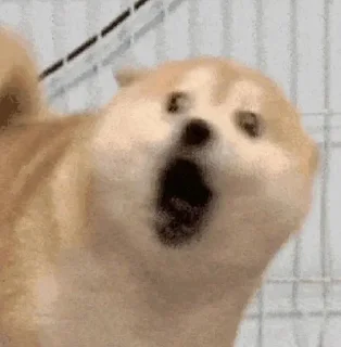 😱