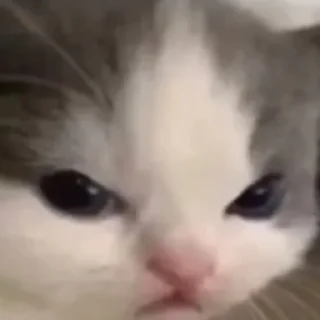 😡