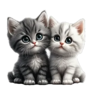😺