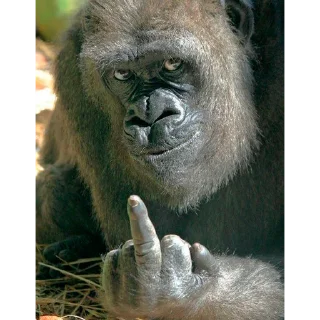🖕