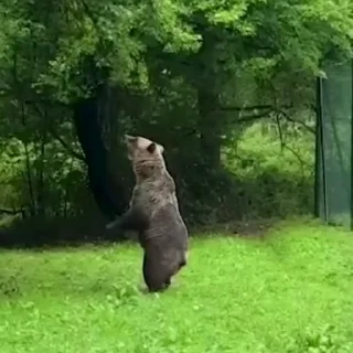 🤩