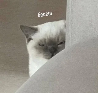 👿